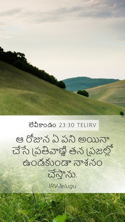 లేవీకాండం 23:30 TELIRV Mobile Phone Wallpaper - ఆ రోజున ఏ పని అయినా - Mobile Bible Verse Wallpaper