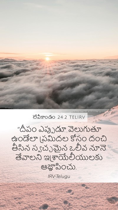 లేవీకాండం 24:2 TELIRV Bible Verse Image