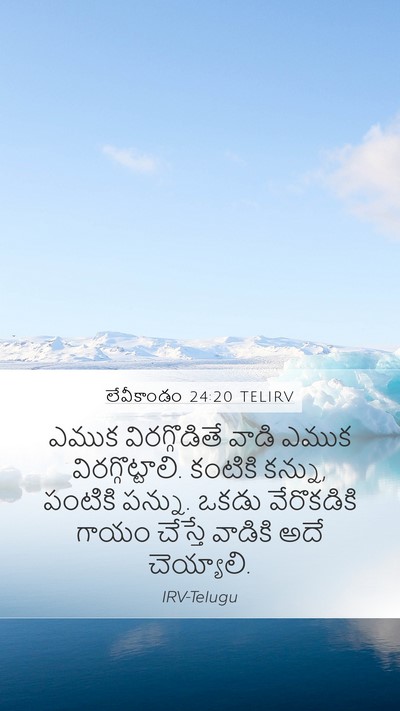 లేవీకాండం 24:20 TELIRV Mobile Phone Wallpaper - ఎముక విరగ్గొడితే - Mobile Bible Verse Wallpaper