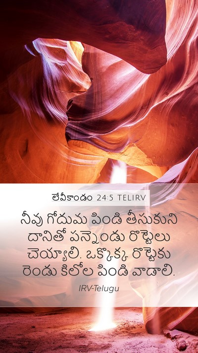 లేవీకాండం 24:5 TELIRV Bible Verse Image