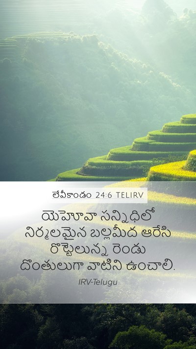 లేవీకాండం 24:6 TELIRV Bible Verse Image