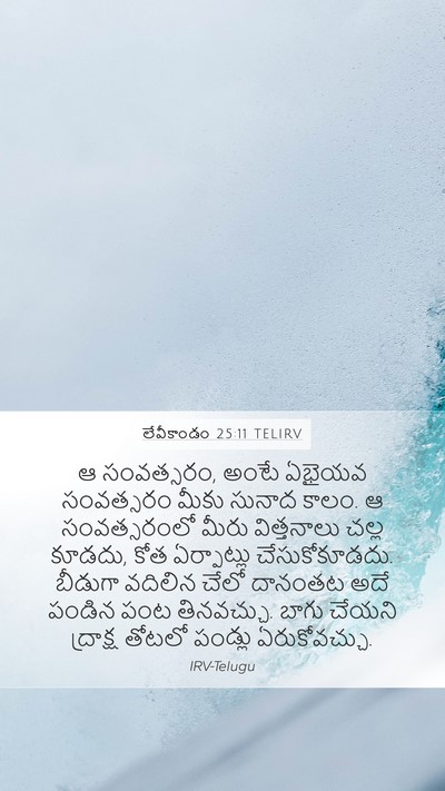 లేవీకాండం 25:11 TELIRV Mobile Phone Wallpaper - ఆ సంవత్సరం, అంటే - Mobile Bible Verse Wallpaper