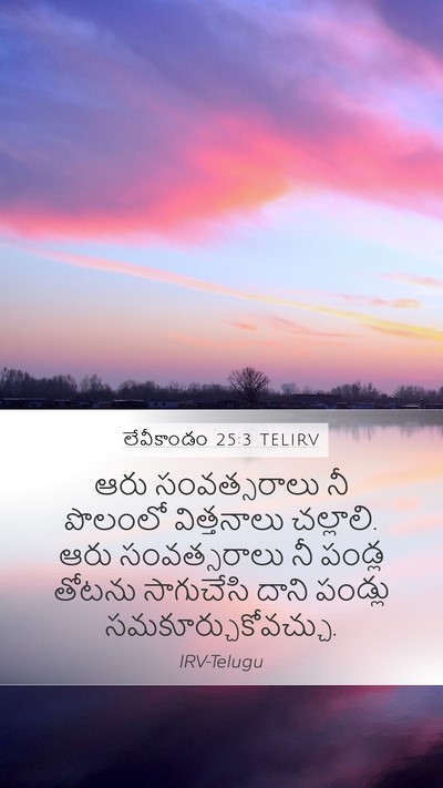 లేవీకాండం 25:3 TELIRV Mobile Phone Wallpaper - ఆరు సంవత్సరాలు నీ - Mobile Bible Verse Wallpaper