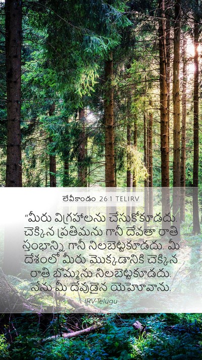 లేవీకాండం 26:1 TELIRV Bible Verse Image