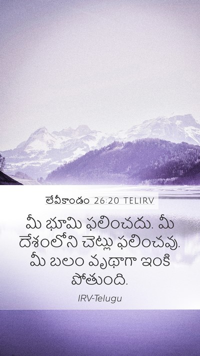 లేవీకాండం 26:20 TELIRV Bible Verse Image