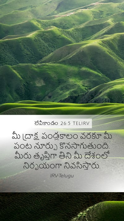 లేవీకాండం 26:5 TELIRV Bible Verse Image