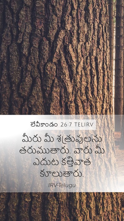 లేవీకాండం 26:7 TELIRV Bible Verse Image