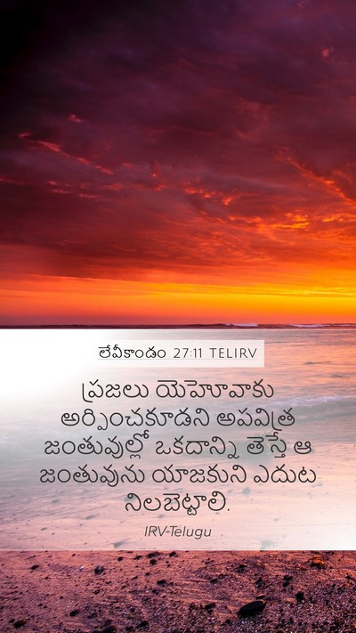 లేవీకాండం 27:11 TELIRV Mobile Phone Wallpaper - ప్రజలు యెహోవాకు - Mobile Bible Verse Wallpaper
