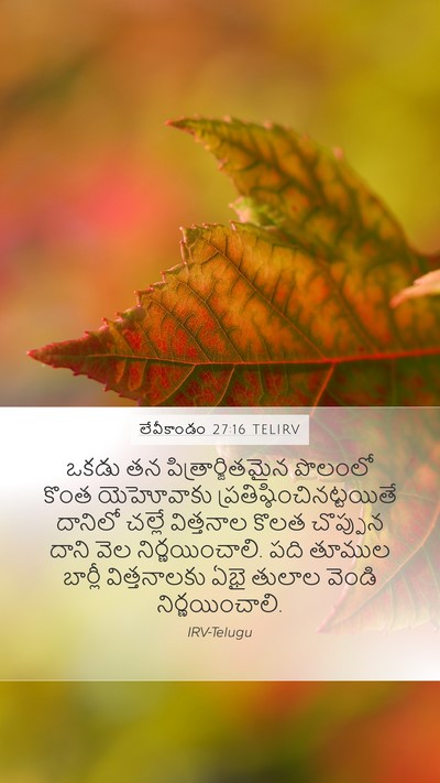 లేవీకాండం 27:16 TELIRV Bible Verse Image
