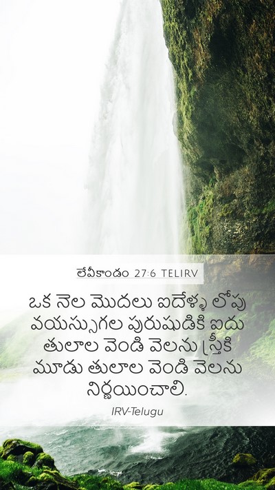 లేవీకాండం 27:6 TELIRV Bible Verse Image