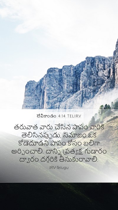 లేవీకాండం 4:14 TELIRV Bible Verse Image