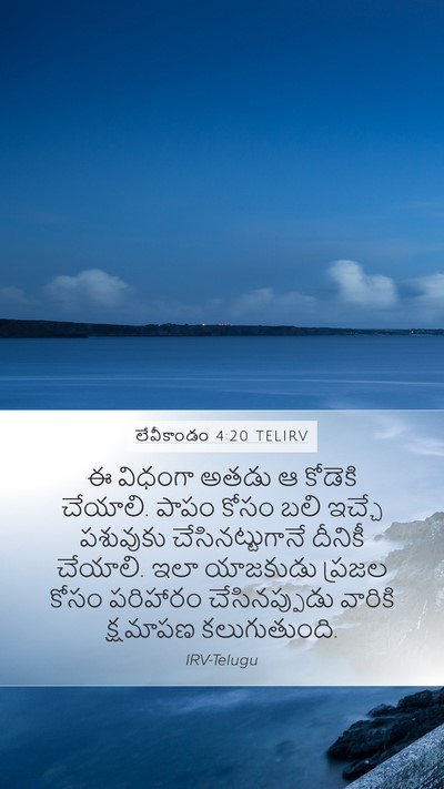 లేవీకాండం 4:20 TELIRV Bible Verse Image