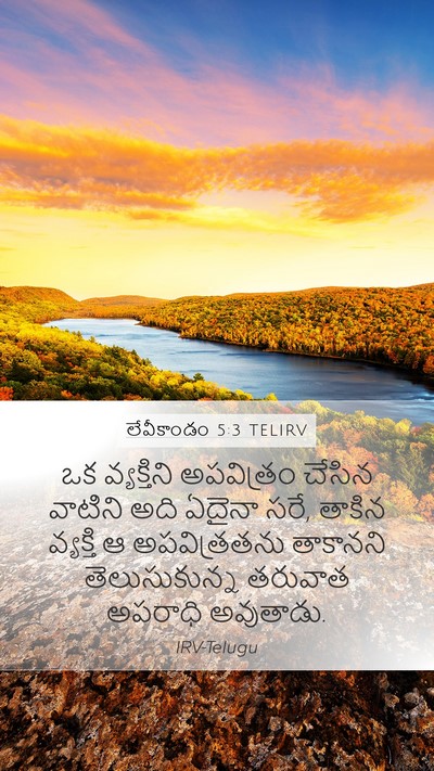 లేవీకాండం 5:3 TELIRV Mobile Phone Wallpaper - ఒక వ్యక్తిని - Mobile Bible Verse Wallpaper