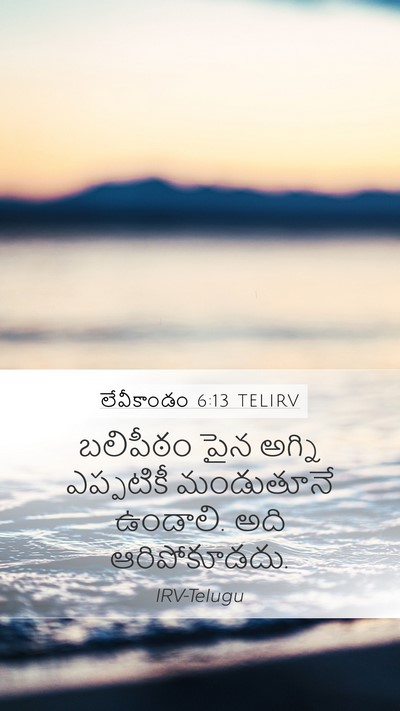 లేవీకాండం 6:13 TELIRV Mobile Phone Wallpaper - బలిపీఠం పైన అగ్ని - Mobile Bible Verse Wallpaper