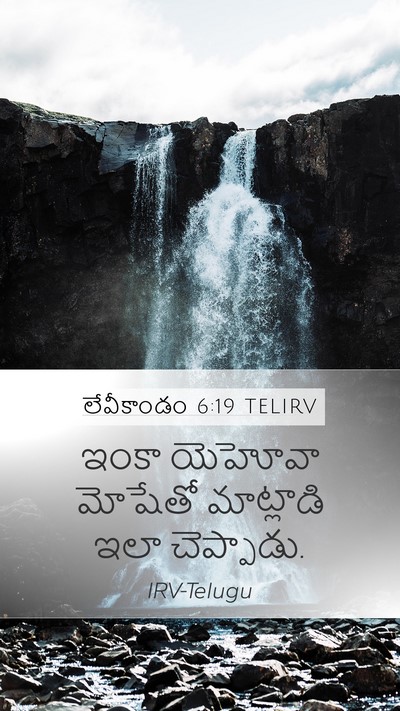 లేవీకాండం 6:19 TELIRV Bible Verse Image
