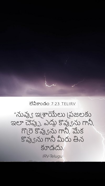 లేవీకాండం 7:23 TELIRV Bible Verse Image