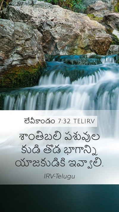 లేవీకాండం 7:32 TELIRV Mobile Phone Wallpaper - శాంతిబలి పశువుల - Mobile Bible Verse Wallpaper