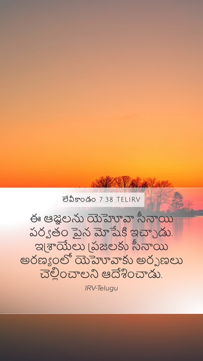 లేవీకాండం 7:38 TELIRV Mobile Phone Wallpaper - ఈ ఆజ్ఞలను యెహోవా - Mobile Bible Verse Wallpaper