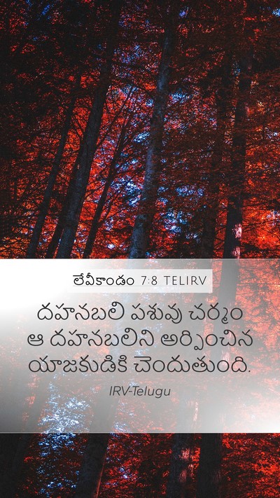 లేవీకాండం 7:8 TELIRV Bible Verse Image