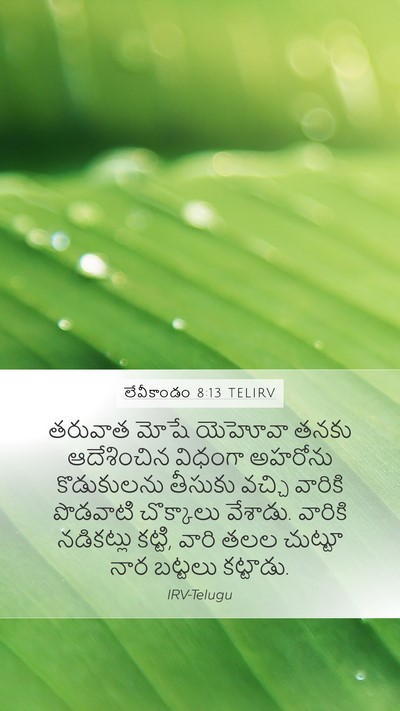 లేవీకాండం 8:13 TELIRV Bible Verse Image