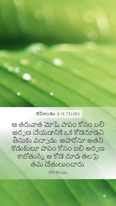 లేవీకాండం 8:14 TELIRV Bible Verse Image