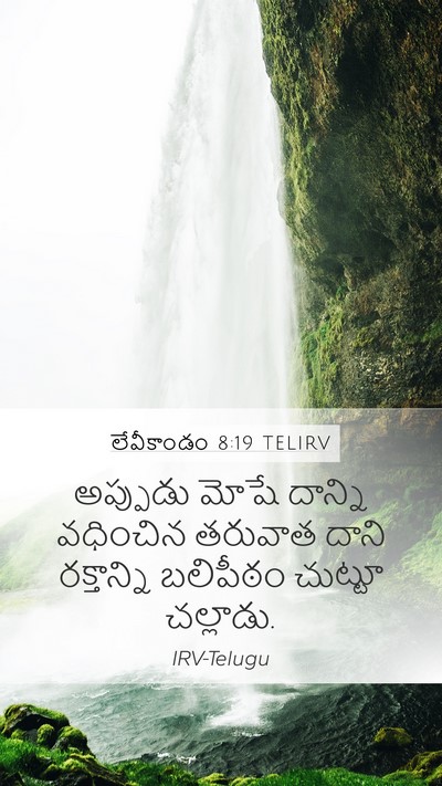 లేవీకాండం 8:19 TELIRV Mobile Phone Wallpaper - అప్పుడు మోషే - Mobile Bible Verse Wallpaper
