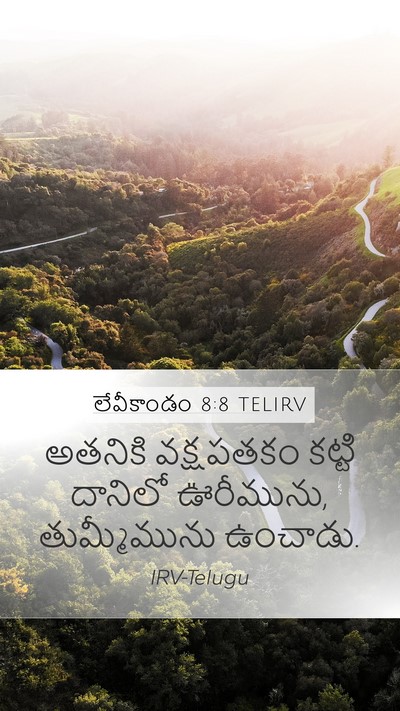 లేవీకాండం 8:8 TELIRV Mobile Phone Wallpaper - అతనికి వక్షపతకం - Mobile Bible Verse Wallpaper