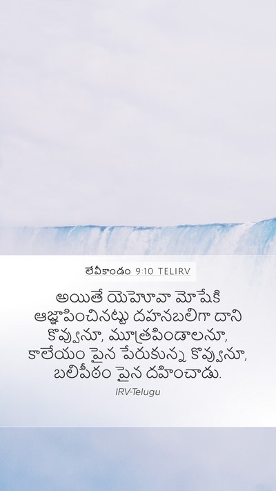 లేవీకాండం 9:10 TELIRV Bible Verse Image