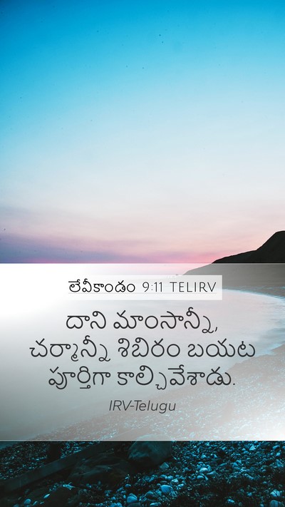 లేవీకాండం 9:11 TELIRV Mobile Phone Wallpaper - దాని మాంసాన్నీ, - Mobile Bible Verse Wallpaper