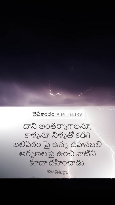 లేవీకాండం 9:14 TELIRV Mobile Phone Wallpaper - దాని - Mobile Bible Verse Wallpaper