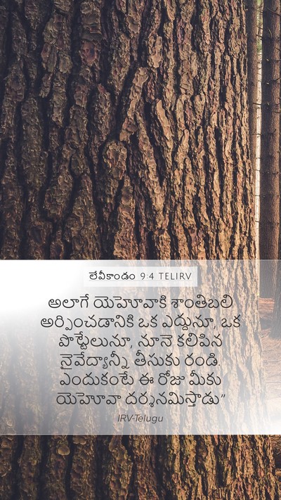 లేవీకాండం 9:4 TELIRV Bible Verse Image