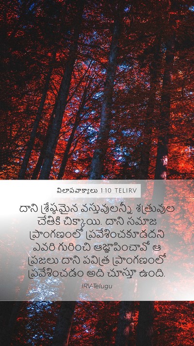 విలాపవాక్యాలు 1:10 TELIRV Bible Verse Image