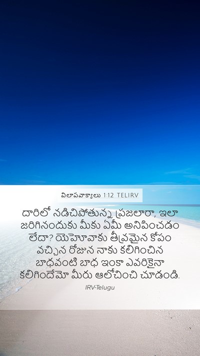 విలాపవాక్యాలు 1:12 TELIRV Bible Verse Image