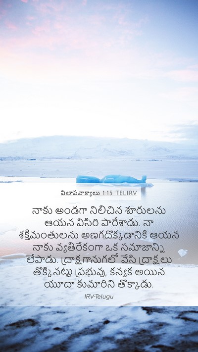 విలాపవాక్యాలు 1:15 TELIRV Bible Verse Image