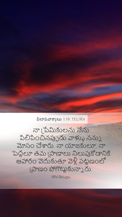 విలాపవాక్యాలు 1:19 TELIRV Bible Verse Image