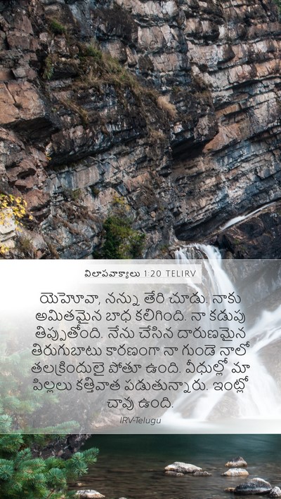 విలాపవాక్యాలు 1:20 TELIRV Bible Verse Image