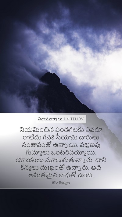 విలాపవాక్యాలు 1:4 TELIRV Bible Verse Image