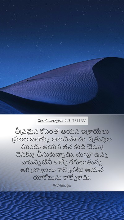 విలాపవాక్యాలు 2:3 TELIRV Bible Verse Image