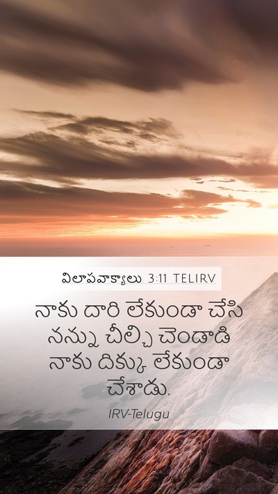 విలాపవాక్యాలు 3:11 TELIRV Bible Verse Image