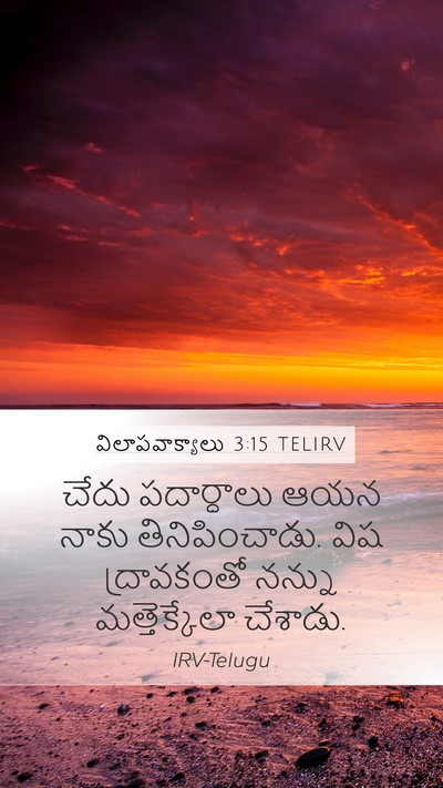 విలాపవాక్యాలు 3:15 TELIRV Bible Verse Image