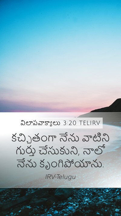 విలాపవాక్యాలు 3:20 TELIRV Bible Verse Image