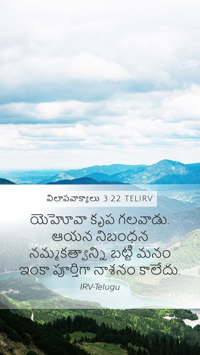 విలాపవాక్యాలు 3:22 TELIRV Bible Verse Image