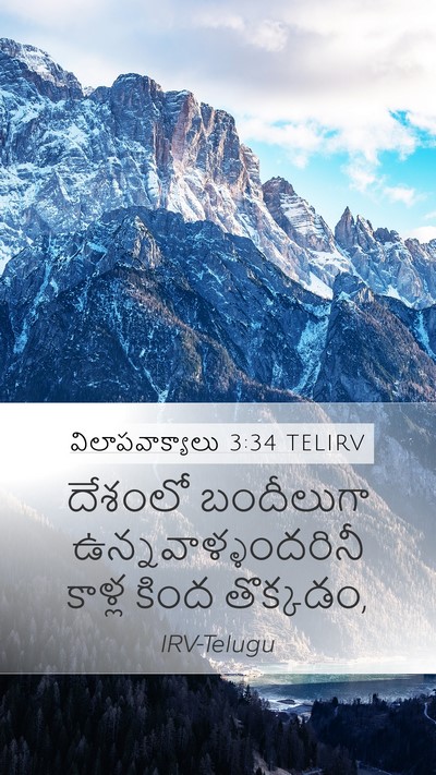 విలాపవాక్యాలు 3:34 TELIRV Bible Verse Image
