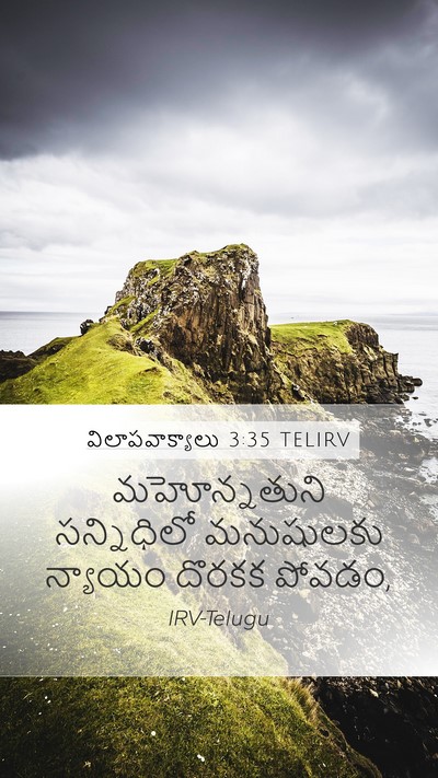 విలాపవాక్యాలు 3:35 TELIRV Bible Verse Image
