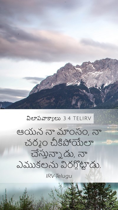 విలాపవాక్యాలు 3:4 TELIRV Bible Verse Image