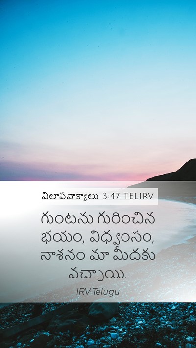 విలాపవాక్యాలు 3:47 TELIRV Bible Verse Image