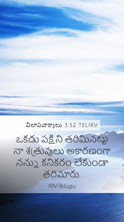 విలాపవాక్యాలు 3:52 TELIRV Bible Verse Image
