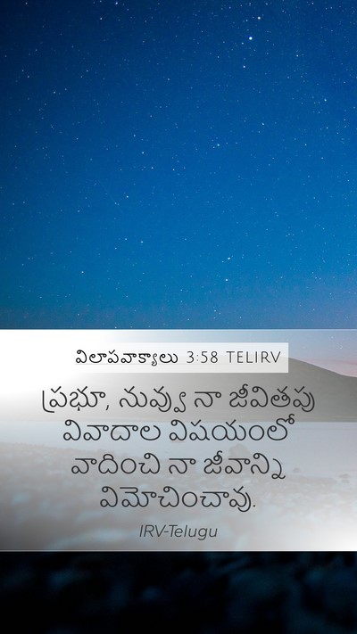 విలాపవాక్యాలు 3:58 TELIRV Bible Verse Image