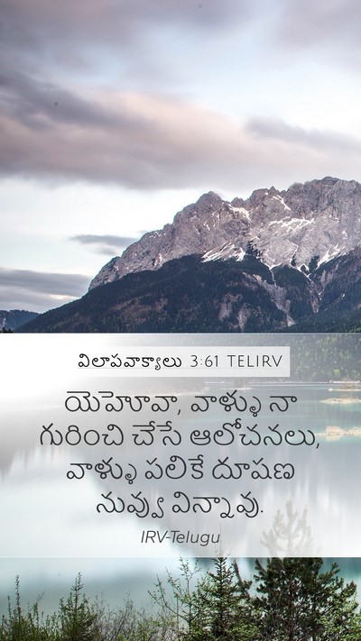విలాపవాక్యాలు 3:61 TELIRV Bible Verse Image