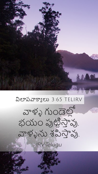 విలాపవాక్యాలు 3:65 TELIRV Bible Verse Image
